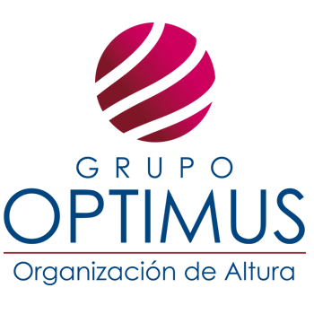 Grupo Optimus